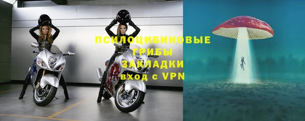 прущие крисы Алексин