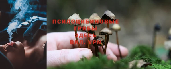 дмт Алексеевка
