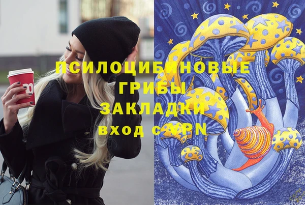 дмт Алексеевка