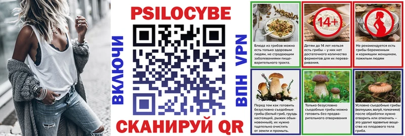 закладки  Изобильный  Псилоцибиновые грибы ЛСД 